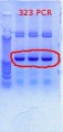 Thumbnail for version as of 14:35, 4 January 2012