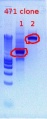 Thumbnail for version as of 14:07, 7 December 2011