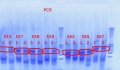 Thumbnail for version as of 13:39, 17 September 2012