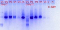 Thumbnail for version as of 14:54, 19 February 2017