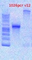 Thumbnail for version as of 17:22, 3 January 2013