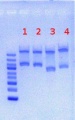 Thumbnail for version as of 14:41, 18 June 2012