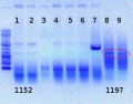 Thumbnail for version as of 12:19, 20 June 2012