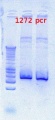 Thumbnail for version as of 13:42, 21 September 2012