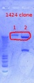 Thumbnail for version as of 14:49, 16 November 2012