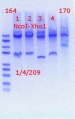 Thumbnail for version as of 16:40, 4 January 2019