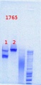 Thumbnail for version as of 13:04, 10 July 2013