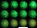 Thumbnail for version as of 13:20, 7 January 2012