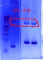 Thumbnail for version as of 09:40, 15 November 2011