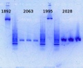 Thumbnail for version as of 17:20, 7 February 2014