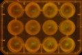 Thumbnail for version as of 11:26, 28 December 2011