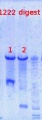 Thumbnail for version as of 11:49, 17 July 2012