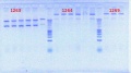 Thumbnail for version as of 16:09, 2 August 2012