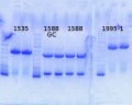 Thumbnail for version as of 14:28, 13 January 2014