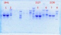 Thumbnail for version as of 15:07, 24 March 2014