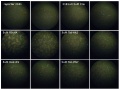 Thumbnail for version as of 12:45, 9 June 2014