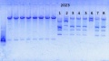 Thumbnail for version as of 16:23, 20 February 2014