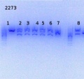 Thumbnail for version as of 16:14, 28 July 2014