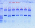 Thumbnail for version as of 14:27, 27 October 2011