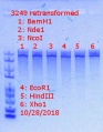 Thumbnail for version as of 12:12, 28 October 2018