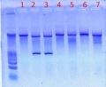 Thumbnail for version as of 15:23, 28 October 2011