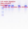 Thumbnail for version as of 13:12, 1 August 2018