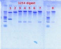 Thumbnail for version as of 13:09, 19 July 2012