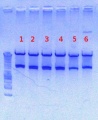Thumbnail for version as of 14:13, 24 August 2012