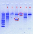Thumbnail for version as of 11:27, 31 December 2012