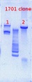 Thumbnail for version as of 12:50, 8 March 2013