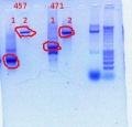 Thumbnail for version as of 14:06, 7 December 2011