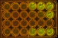 Thumbnail for version as of 18:54, 8 October 2014