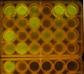 Thumbnail for version as of 12:03, 30 September 2014