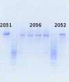 Thumbnail for version as of 15:44, 9 July 2014