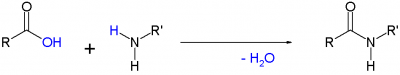 SimpleAmideFormationByCondensation.png