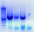Thumbnail for version as of 14:59, 15 March 2011