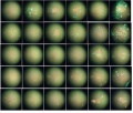 Thumbnail for version as of 15:35, 15 April 2016