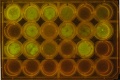 Thumbnail for version as of 08:50, 19 September 2014