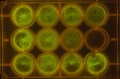 Thumbnail for version as of 18:08, 18 February 2014