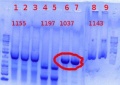 Thumbnail for version as of 10:29, 7 June 2012