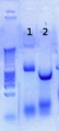 Thumbnail for version as of 11:46, 22 June 2012
