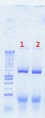 Thumbnail for version as of 10:46, 7 August 2012