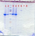 Thumbnail for version as of 16:06, 3 January 2013