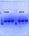 Thumbnail for version as of 17:24, 6 March 2014