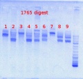 Thumbnail for version as of 08:43, 12 July 2013