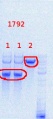 Thumbnail for version as of 14:38, 15 August 2013
