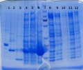 Thumbnail for version as of 15:03, 17 December 2014
