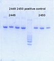 Thumbnail for version as of 16:12, 25 June 2015