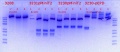 Thumbnail for version as of 16:39, 21 June 2018