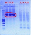 Thumbnail for version as of 10:18, 18 January 2012